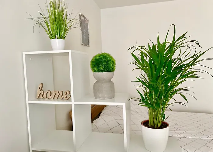 Modern Stylish With Balcony & Free Parking